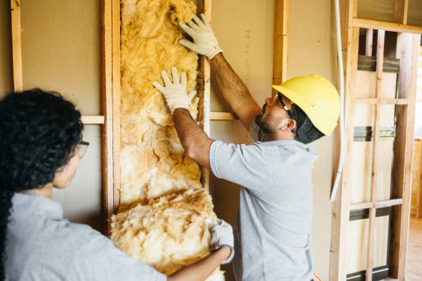 Best Blown-in Insulation  in Vinco, PA